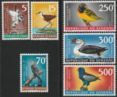 THEMATIC FAUNA:  BIRDS.  KINGFISHER, CANARD CASQUE, BATELEUR EAGLE  ETC. -   SENEGAL - Gaviotas