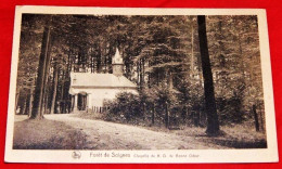 HOEILAART  - FORÊT DE SOIGNES -  Chapelle De N. D. De Bonne Odeur  - - Hoeilaart