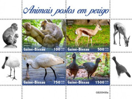 Guinea Bissau 2020, Animals In Danger, Monkey, Bird, Gazelle, BF - Albatros