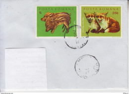 ROMANIA : MAMMALS CUBBS On Cover Circulated In ROMANIA #427816539 - Registered Shipping! - Briefe U. Dokumente