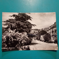 Cartolina Piazza Armerina - Viale Delle Rose. Non Viaggiata - Enna