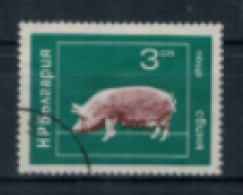 Bulgarie - "Animaux Domestiques : Truie" - Oblitéré N° 2073 De 1974 - Used Stamps