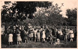 Ravels (O. L. Vrouw Van De Kempen) - Openluchtschool Voor Zwakke Meisjes, Aangename Verposing In De Fruithof - Ravels