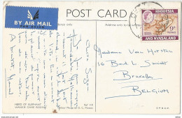 8Eb-482: 9D. RHODESISA AND NYSALAND > Bruxelles : HERD OF ELEFANT WANHIE GAME RESERVE: Air Mail - Nyasaland (1907-1953)