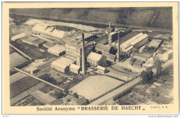 4cp877: Société Anonyme " BRASSERIE DE HAECHT " Cliché C.A.B. - Haacht