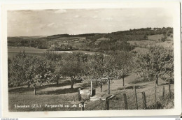 8Eb-835: Slenaken (Z.L.) Vergezicht Op " De Del" 1955 - Slenaken