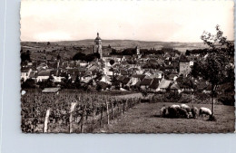 Delcampe - 16-11-2023 (2 V 21) OLDER - France - B/w (posted ?) - Arbois - Arbois