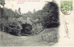 Bruxelles Au Bois  Le Pont Rustique  1906 - Bosques, Parques, Jardines