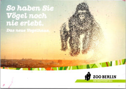16-11-2023 (2 V 22) Germany - Belin Zoo (Gorilla) - Singes