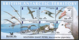 BAT / Brit. Antarktis 2005 - Mi-Nr. Block 12 ** - MNH - Vögel / Birds - Unused Stamps