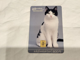 HUNGARY-(HU-P-2003-35)-Macskák: Házimacska Cat-(6)(800ft)(33617A217)(tirage-50.000)-used,card+1card Prepiad Free - Ungarn