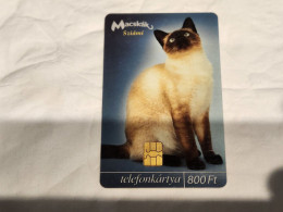 HUNGARY-(HU-P-2003-45)-Macskák-Sziámi Cat-(8)(800ft)(C361F34A3)(tirage-50.000)-used,card+1card Prepiad Free - Ungarn