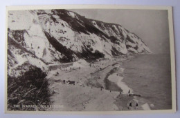 ROYAUME-UNI - ANGLETERRE - KENT - FOLKESTONE - The Warren - 1953 - Folkestone