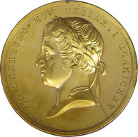 HAUS HABSBURG MEDAILLE  FERDINAND I. 1835-1848 INKUSE MEDAILLE BOEHM #MA 073035 - Oostenrijk