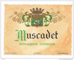 Etiquette Muscadet - Imprimeur Gensay & Pichot  - - White Wines