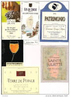 Etiquettes  Vin De Corse Chardonnay, Patrimonio, Ste Juliette.... 2001,2003,2004 - Collections & Sets