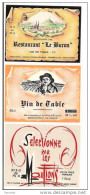 Etiquettes Vin D'Auvergne: Le Buron ( Cathédrale Clermont Et Vierge Veyre Monton ) , Prulière à Chignat Et Les Mouflons - Collections, Lots & Séries