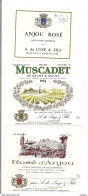 3 Etiquettes  Anjou Rosé Et Muscadet De Sèvre Et Maine 1981 - A.de Luze & Fils - - Roséwijn