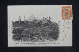 CONGO - Affranchissement Panthère De Brazzaville Sur Carte Postale  - L 148614 - Storia Postale