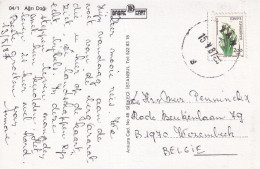 Carte Agri Dagi Ce Volcan Au Sommet Recouvert De Neiges 1987 - Postal Stationery