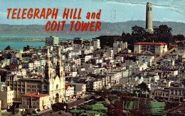 ETAT-UNIS CALIFORNIE SAN FRANCISCO TELEGRAPH HILL AND COIT TOWER - San Francisco