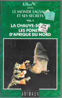 K7 VHS La Chauve-Souris Et Les Ponets D'Afrique Du Nord - Documentaires