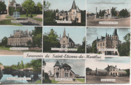 St Etienne De Montlucvues - Saint Etienne De Montluc