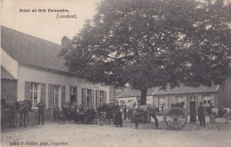 WUUSTWEZEL - LOENHOUT 1907 HOTEL CAFÉ DE DRIJ ZWAANTJES TERRAS PAARD KAR KOE - MOOIE ANIMATIE - HOELEN KAPELLEN 3333 - Wuustwezel