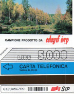 ITALY - MAGNETIC CARD - SIP - TEST CARD - CAMPIONE CELLOGRAF SIMP - OCR 0123456789 - MINT - Tests & Service