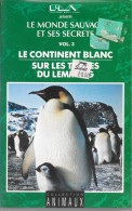 K7 VHS  Le Continent Blanc, Sur Les Traces Du Lemming - Documentari