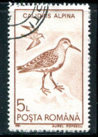 ROUMANIE- Y&T N°3928- Oblitéré (oiseaux) - Used Stamps