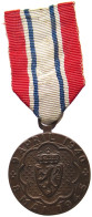 NORWAY ORDEN 19401945 NORWAY WWII NARVIK PARTICIPATION MEDAL 1940 1945 #MA 020409 - Norvège