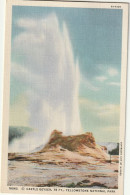 Castle Geyser, 75 Ft., Yellowstone National Park, Wyoming - Yellowstone