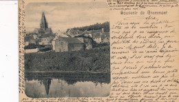 Grammont - Geraardsbergen - Souvenir De Zicht Op De Kerk - Geraardsbergen