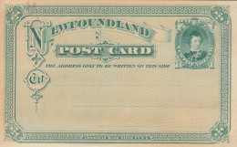 PS164 - OLD NEW POSTAL STATIONERY NEWFOUNDLAND 1 CENT - Entiers Postaux