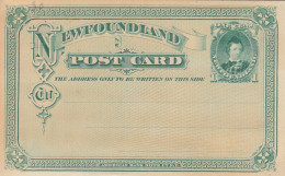 PS164 - OLD NEW POSTAL STATIONERY NEWFOUNDLAND 1 CENT - Postwaardestukken