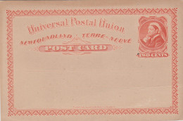 PS165 - OLD NEW POSTAL STATIONERY NEWFOUNDLAND 2 CENTS - Entiers Postaux