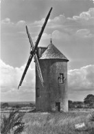 Arzon * Presqu'ile De Rhuys * Le Moulin à Vent De Boidanic * Molen - Arzon