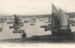 Camaret * Les Bateaux De Pêche à L'échouage - Camaret-sur-Mer