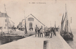 56  ETEL    La Poissonnerie.   TB PLAN   1906            PAS COURANT - Etel