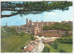 URBINO - PANORAMA - COLORI VIAGGIATA  1972 - ANIMATA E  BUS D'EPOCA . - Urbino