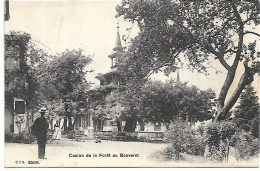 L200B1910 - Port-Valais - Casino De La Forêt Au Bouveret - Port-Valais