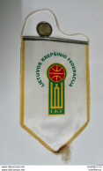 Fanion Basketball Lituanie Lietuvos Krepsinio Federacija - Abbigliamento, Souvenirs & Varie