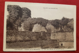 CPA -  Vallée De Chevreuse - Chevreuse - Château De La Madeleine - La Tour Des Gardes Et Le Puits De 85 - Chevreuse