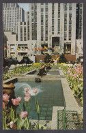 124089/ NEW YORK CITY, The Channel Gardens, Rockefeller Center - Parks & Gardens