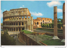 ROMA - IL COLOSSEO - COLORI VIAGGIATA 1988 - ANIMATA-COMM. HOMO 1988 - TIMBRO  ROMA UFFICIO MOBILE  BASILICA S. PIETRO - Kolosseum