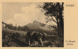 57 - Moselle - DABO - La Chapelle Saint-Lèon - Format 9 X 14 - Hôtel Bour - Dabo