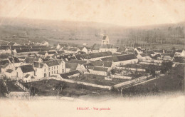 Bellot * Vue Générale Sur Le Village - Other & Unclassified
