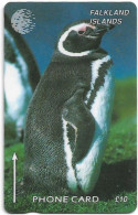 Falklands - C&W (GPT) - Jackass Penguin, 184CFKB, 1997, 10.000ex, Used - Falkland Islands