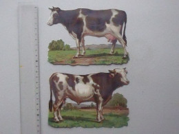 CHROMO DECOUPIS Grand Format: La VACHE Et Le TAUREAU Race Bovine Lot 2 Différents Même Thème - Animaux De La Ferme - Animaux